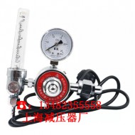 YQT-731LR二氧化碳减压阀、电加热二氧化碳减压器